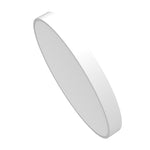 Load image into Gallery viewer, Mounted Roof LED Ceiling Light