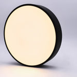 Load image into Gallery viewer, Mounted Roof LED Ceiling Light