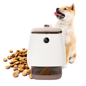 Automatic dog feeder