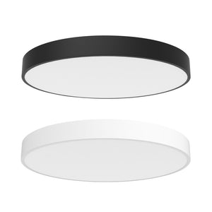 Mounted Roof LED Ceiling Light