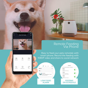 Remote feeding your pets via phone 