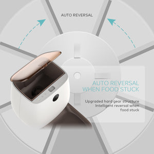 Automatic Pet Feeder