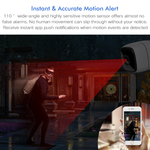Load image into Gallery viewer, Motion alert camera - home automation - smart life 
