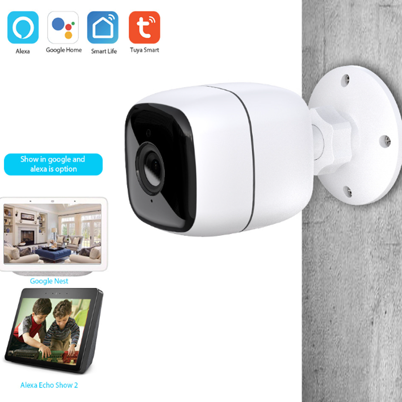 Wireless cameras that work with best sale google home